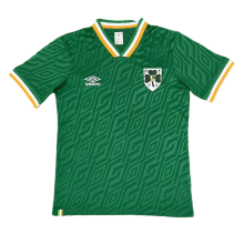 Ireland Football Jersey Anniversary Custom Shirt 2026 - World Cup