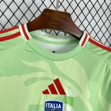 Italy Soccer Jersey Away Custom Shirt 2025