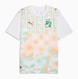 Ivory Coast Soccer Jersey Away Custom Shirt 2026 World Cup