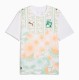 Ivory Coast Soccer Jersey Away Custom Shirt 2026 World Cup