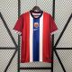 Norway Soccer Jersey Home Custom Shirt 2024