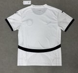 Egypt Soccer Jersey Away Custom Shirt 2024-25