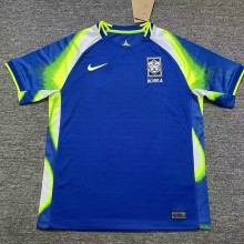 South Korea Soccer Jersey Away Custom Shirt 2025