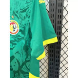 Senegal Soccer Jersey Away Custom Shirt 2025