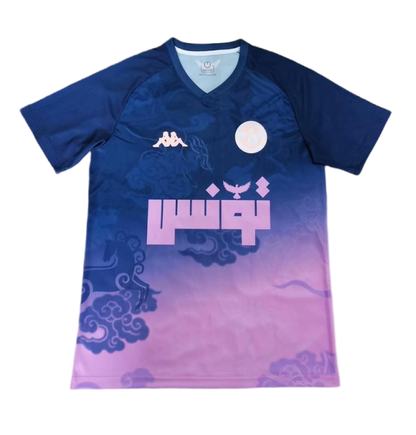 Tunisia Soccer Jersey Training Custom Shirt World Cup 2026