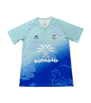 Tunisia Soccer Jersey Training Custom Shirt World Cup 2026