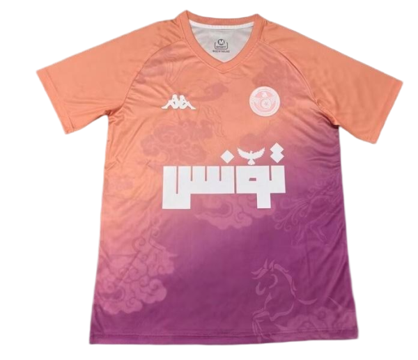Tunisia Soccer Jersey Training Custom Shirt World Cup 2026