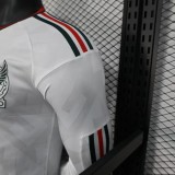 Mexico Authentic Away Long Sleeve Kit Soccer Jersey World Cup 2026
