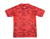 Poland Soccer Jersey Away Custom Shirt World Cup 2026