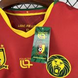 Cameroon Soccer Jersey Away Custom Shirt 2025