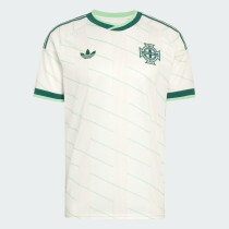Northern Ireland Soccer Jersey Away Custom Shirt 2026 - World Cup