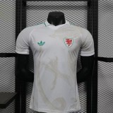 Wales Authentic Football Jersey Away Shirt World Cup 2026