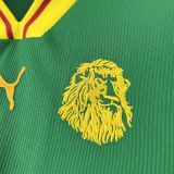 Cameroon Retro Soccer Jersey Home Custom Shirt 1998
