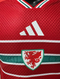 Wales Authentic Football Jersey Home Shirt World Cup 2026