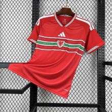 Wales Football Jersey Home Custom Shirt World Cup 2026