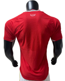 Wales Authentic Football Jersey Home Shirt World Cup 2026