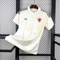 Wales Football Jersey Away Custom Shirt World Cup 2026