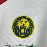 Cameroon Soccer Jersey Third Away Custom Shirt 2025