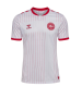 Denmark Football Jersey Away Custom Shirt World Cup 2026