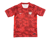 Poland Soccer Jersey Away Custom Shirt World Cup 2026