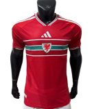 Wales Authentic Football Jersey Home Shirt World Cup 2026