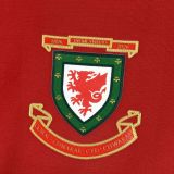 Wales Football Jersey 150th Anniversary Custom Shirt World Cup 2026