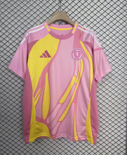 Scotland Soccer Jersey Away Custom Shirt 2025