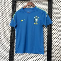 26/27 Brazilian training jersey fan version