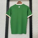 26/27 Ireland home jersey fan version