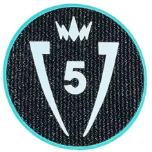 CONCACAF Champions Cup 5 Patch 5字杯 美冠杯臂章 (You can buy it Or tell me to print it on the Jersey