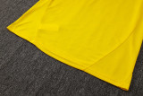 2025/26 BVB  Yellow Vest Training Jersey(A Set)