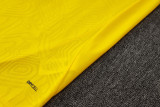 2025/26 BVB  Yellow Training Jersey(A Set)