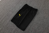 2025/26 BVB  Yellow Vest Training Jersey(A Set)