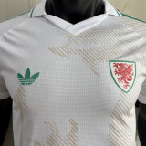 2026/27 Wales Away White Player Version Soccer Jersey
