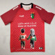2025 Palestino Special Edition Fans Soccer Jersey