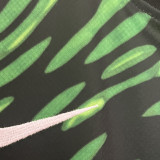 2024/25 Nigeria Green Fans Soccer Jersey