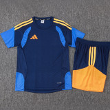2026 AD Royal Blue Training Jersey (A Set)
