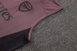 2025/26  ARS Grey Purple Vest Training Jersey(A Set)
