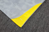 2026 BVB Grey Yellow Training Jersey(A Set)