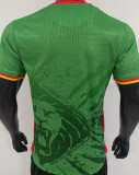 2025/26 Cameroon Home Green Player Version Soccer Jersey