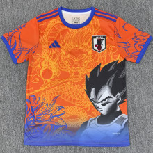 2025/26 Japan Special Edition Fans Jersey