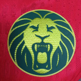 2025/26 Cameroon Away Red Player Version Soccer Jersey