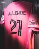 2025/26 Inter Miami Home Pink Fans Long Sleeve Soccer Jersey