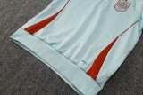 2025/26 Spain Light Green Hoody Thickened Fluff Zipper Jacket Tracksuit