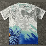 2025 Brazil Special Edition Fans Soccer Jersey