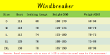 2025 ARS Red Windbreaker (刺绣)