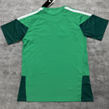 2026/27 Algeria Special Edition Fans Soccer Jersey