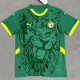 2025 Senegal Away Green Fans Soccer Jersey