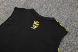 2025 Brazil Vest Training Jersey(A Set)