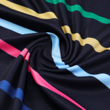 2024/25 France  Vest Training Jersey(A Set)